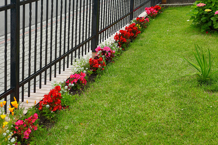 lawn care and maintenance with flower bed