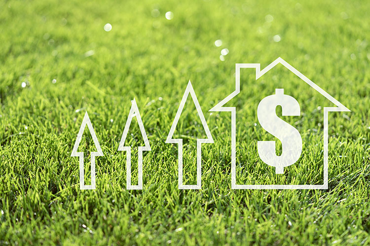 Should I Raise My Lawn Care Prices Between Seasons?