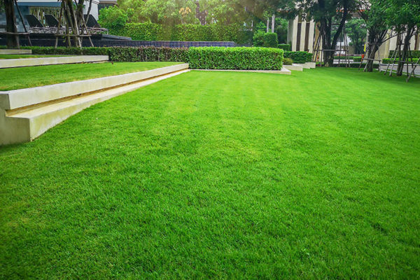 Guide To Lawn Care End Of Year Proposals