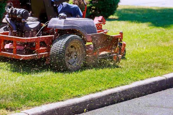 When is the right time to grow your lawn maintenance business?