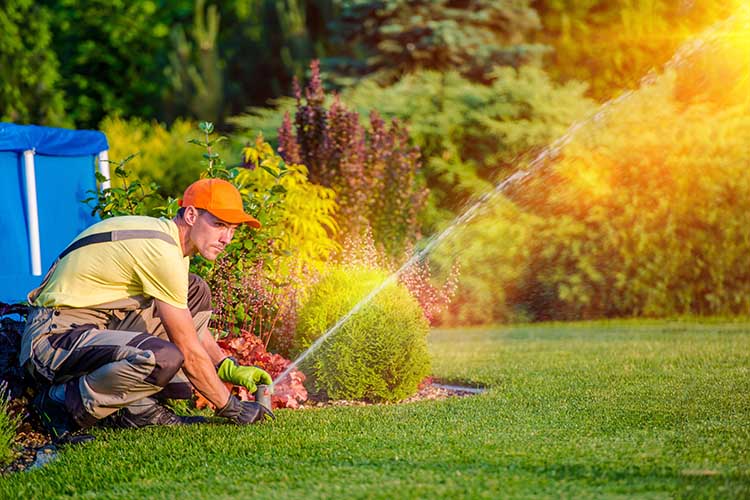 The CLIP Guide to End-of-Year Lawn Care Proposals