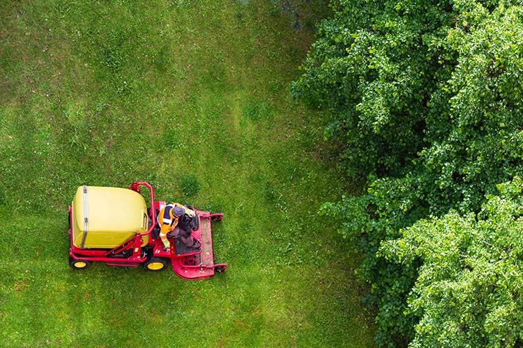 Making the Smart Decision about Big Lawn Care Jobs