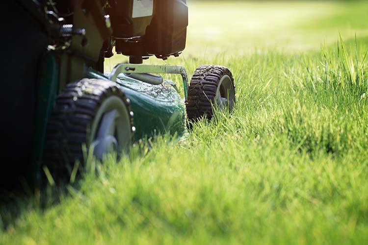 Becoming a True Lawn Care Professional