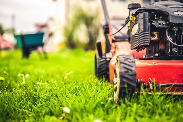 Lawn Maintenance Business Management: Hiring the Right Person