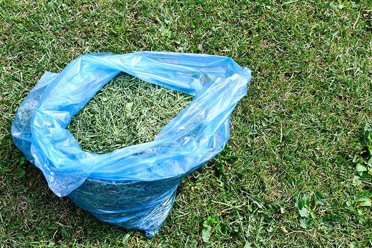 A Lawn Maintenance Controversy: Should You Bag Grass Clippings?
