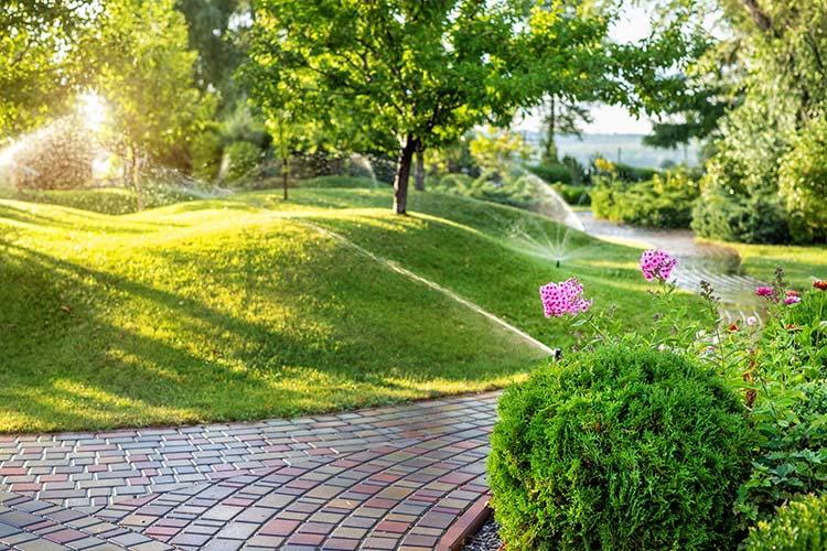 5 Questions for Evaluating Off-Season Revenue Opportunities for your Lawn Maintenance Company
