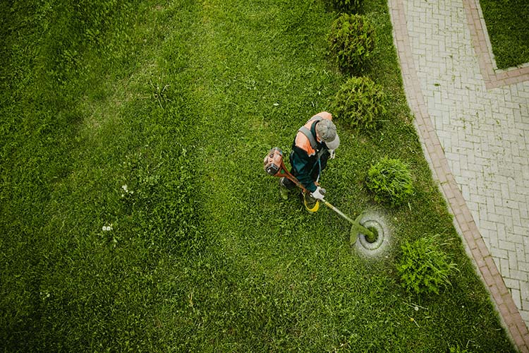 tips for retaining international lawn care workers