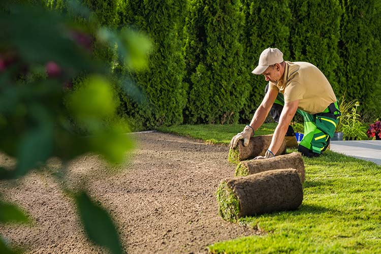 lawn care business post-season