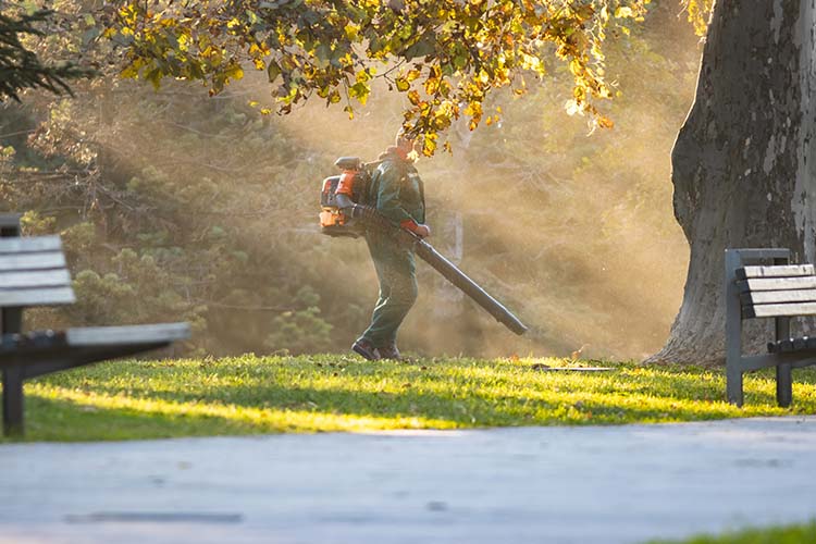 The Pros and Cons of Battery-Powered  Lawn Trimmers and Blowers for your Lawn Care Business.
