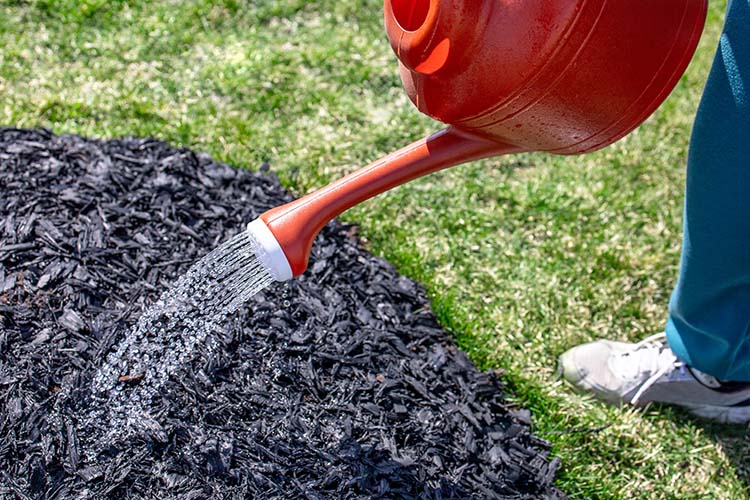 Eco-Friendly Mulch Options: A Green Guide for Lawn Care Businesses