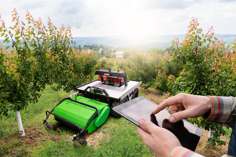 Use Personalized Lawn Care Communication To Set Your Company Apart
