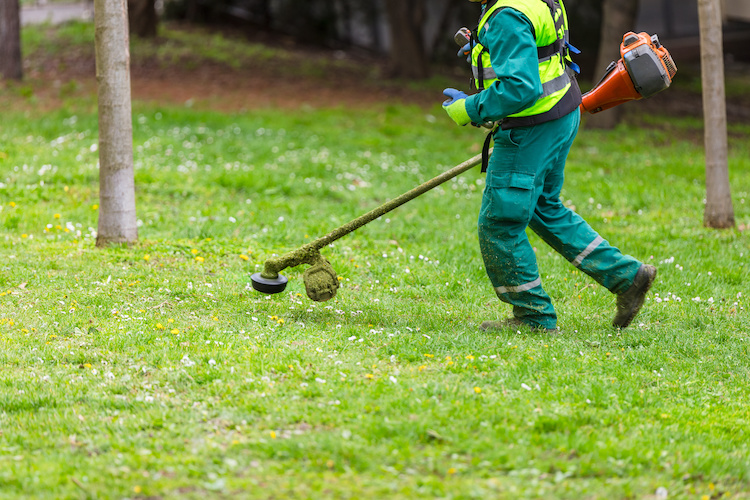 Enhancing Lawn Care Safety and Productivity During Peak Season
