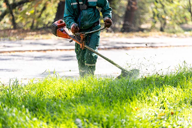 Gear Up for Success: Essential Lawn Care Preparation Tips for a Profitable Season